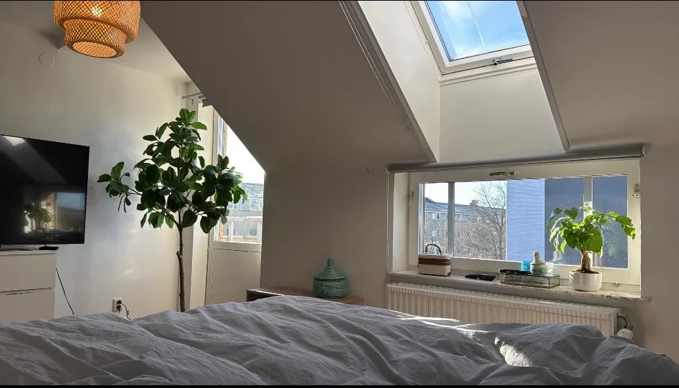 Hyreslägenhet på Limhamn i limhamn