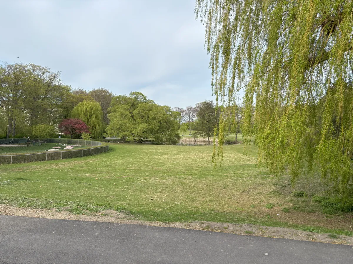 Hyreslägenhet på Malmö i malmo