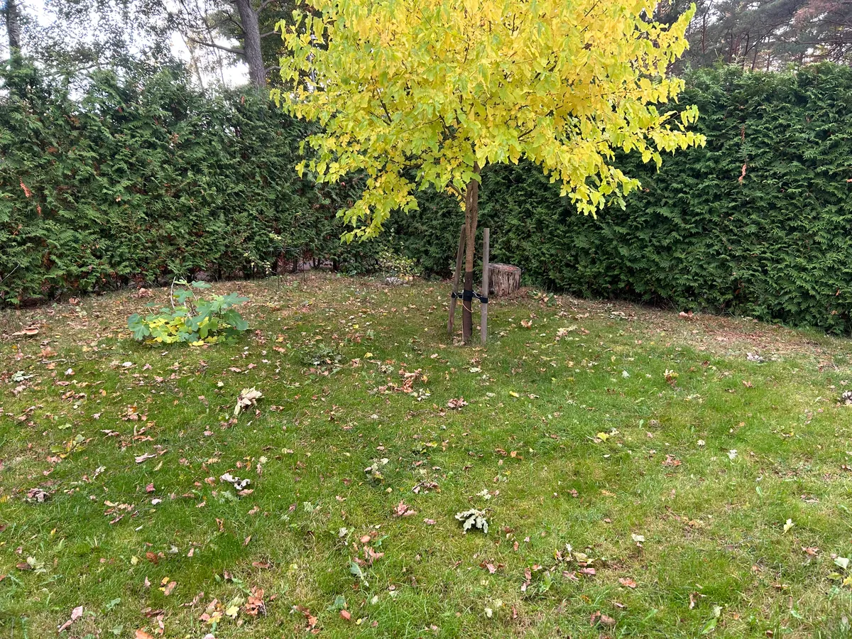 Hyresbostad på Västra Frölunda i vastra-frolunda