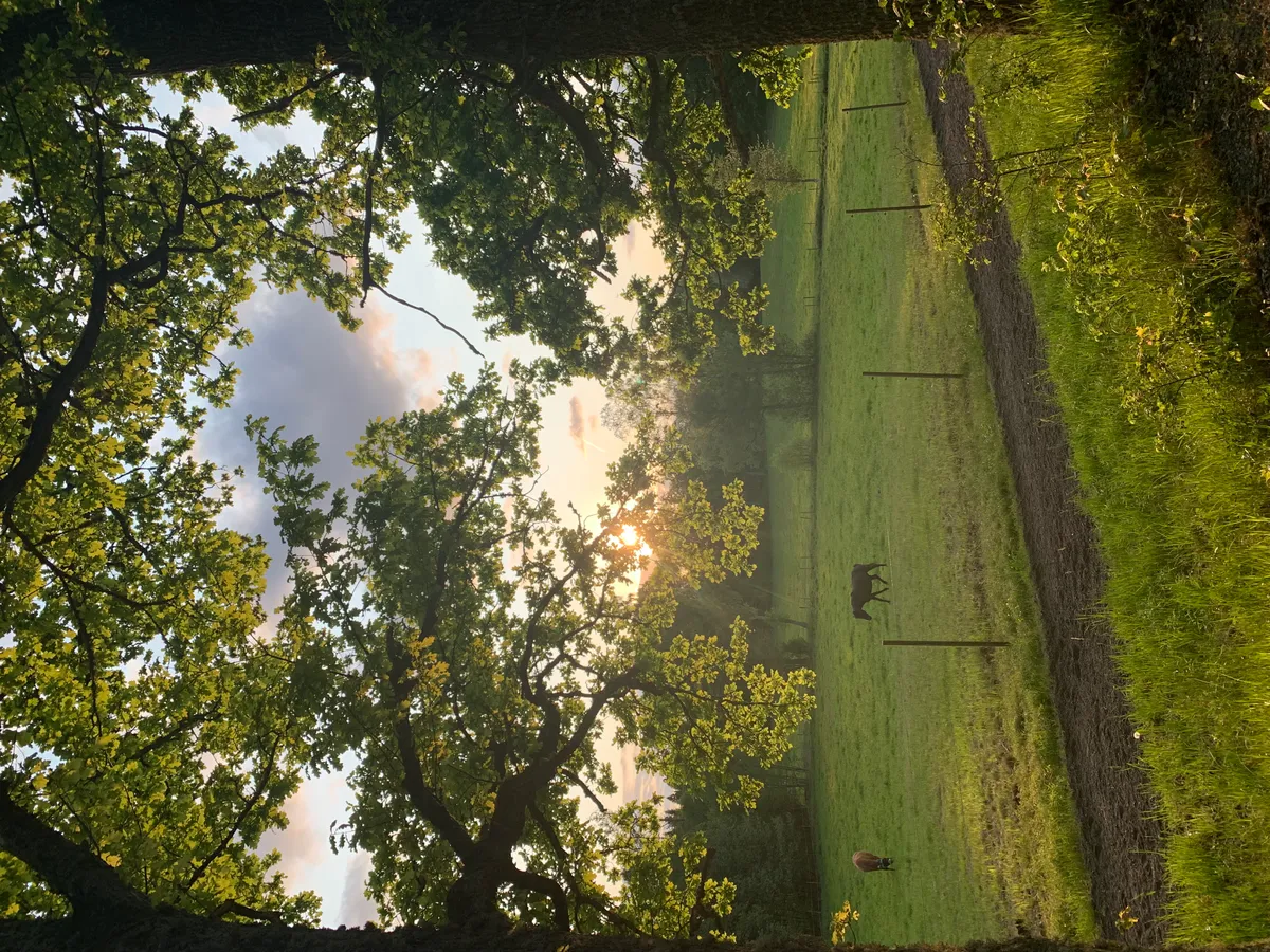 Hyresbostad på Jönköping i jonkoping