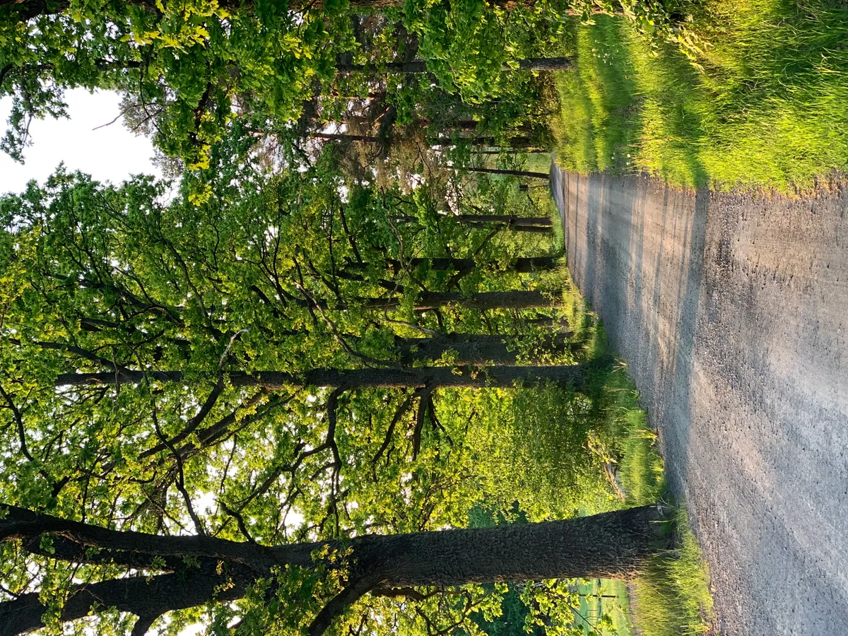 Hyresbostad på Jönköping i jonkoping