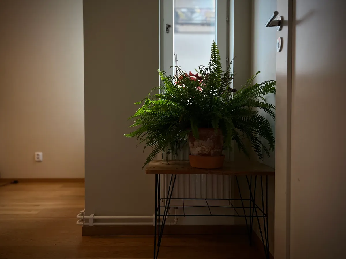 Hyreslägenhet på Stockholm i stockholm