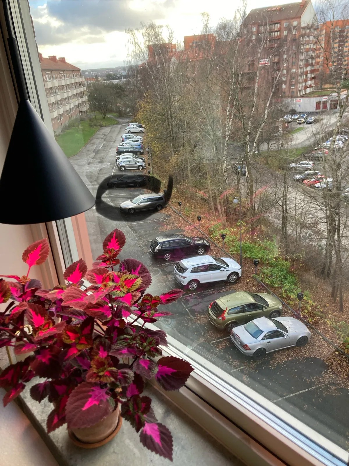 Hyreslägenhet på Västra Frölunda i vastra-frolunda