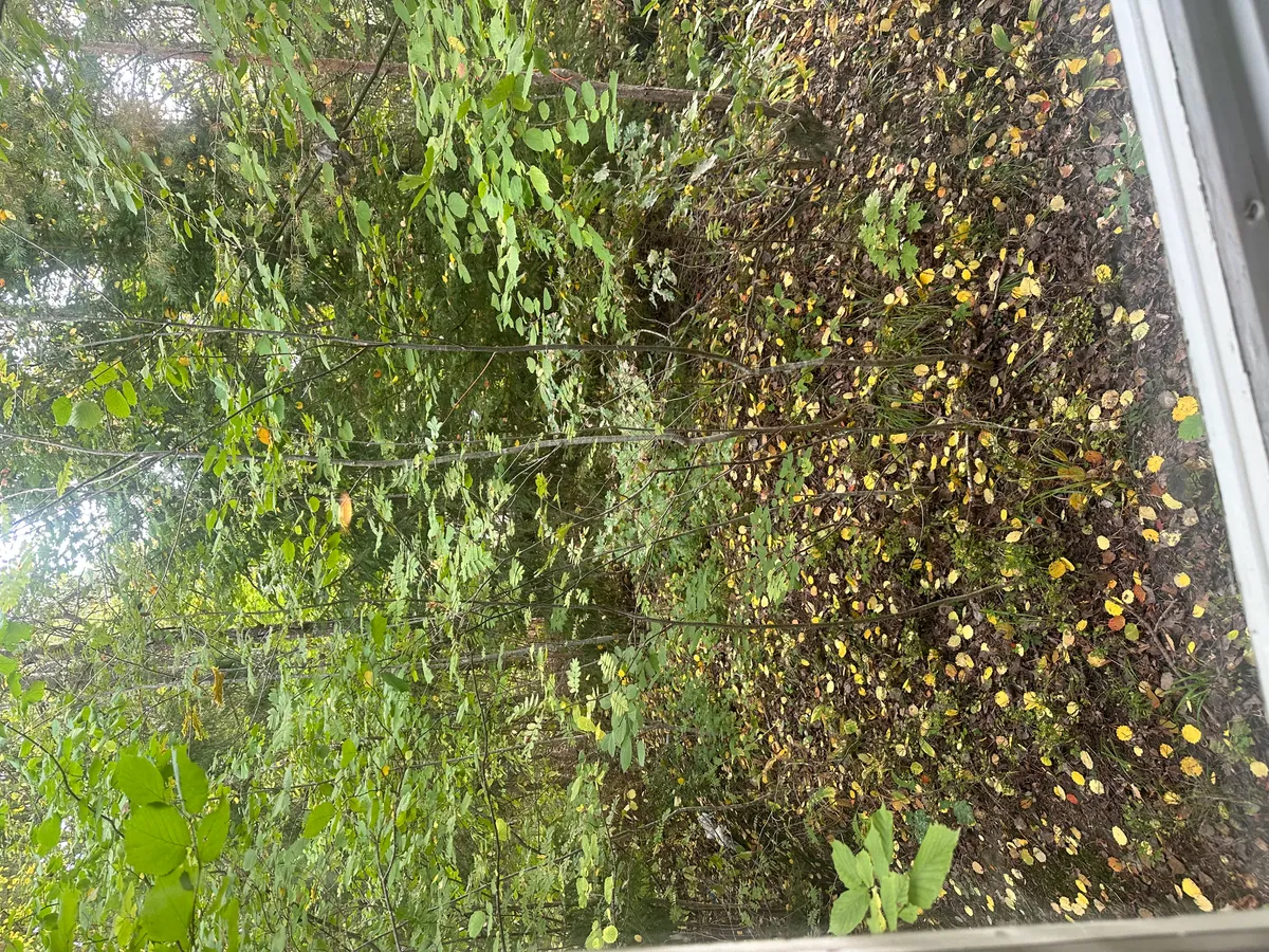 Hyresbostad på Farsta i farsta