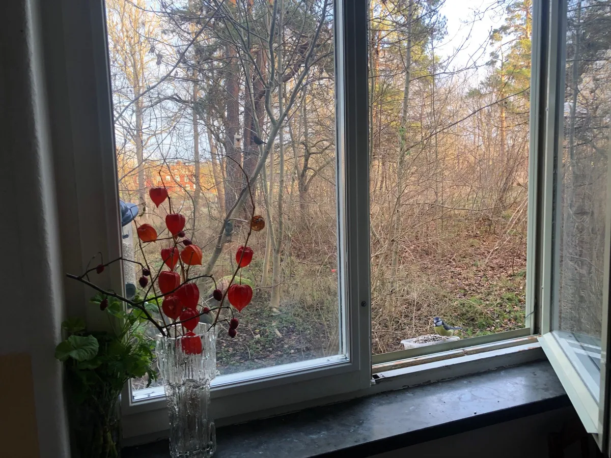 Hyreslägenhet på Hässelby i hasselby