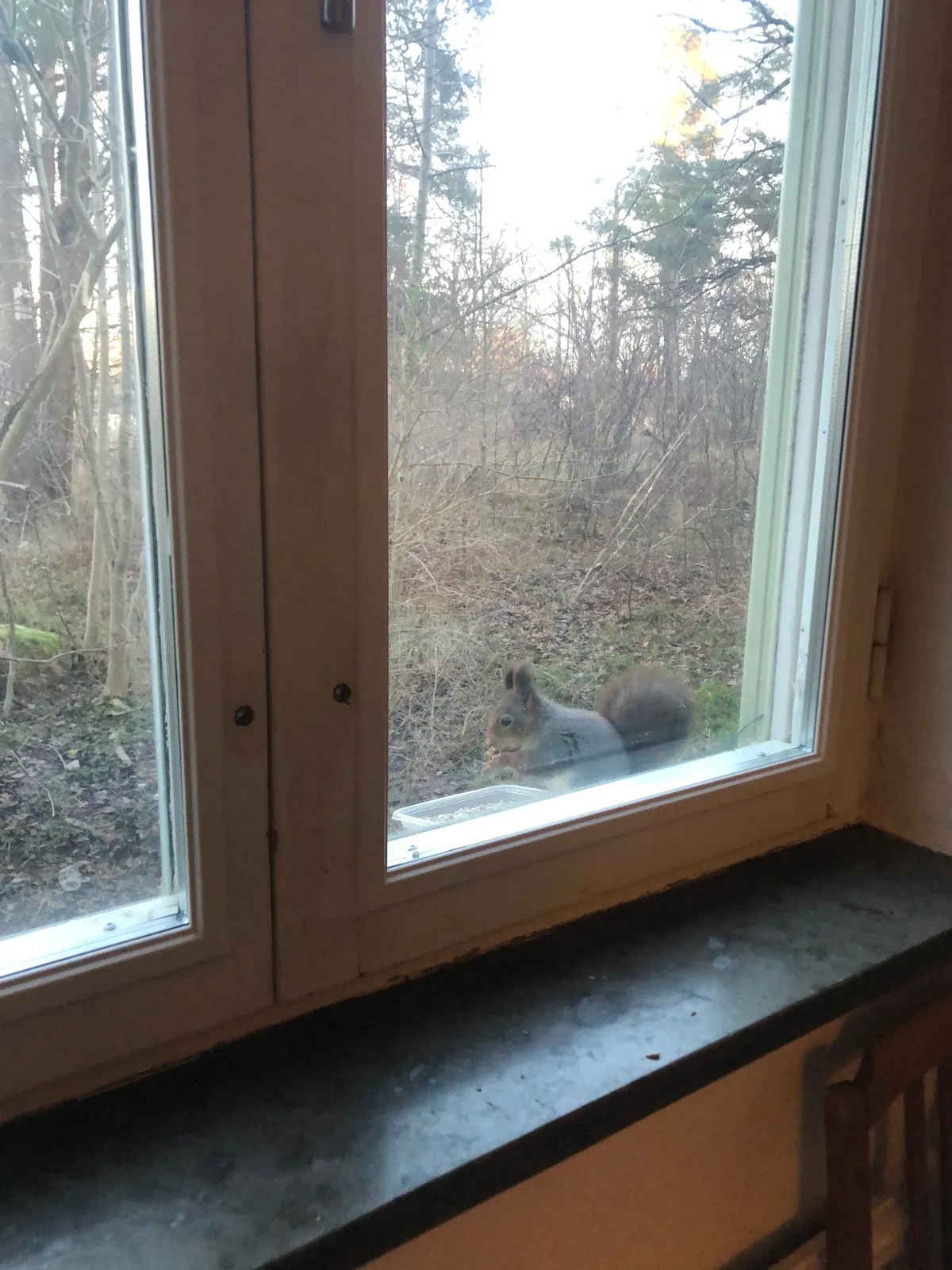 Hyreslägenhet på Hässelby i hasselby