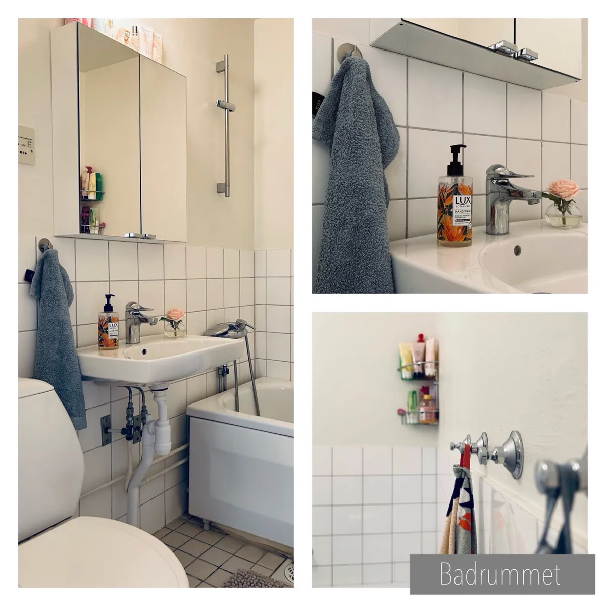 Hyreslägenhet på Malmö i malmo