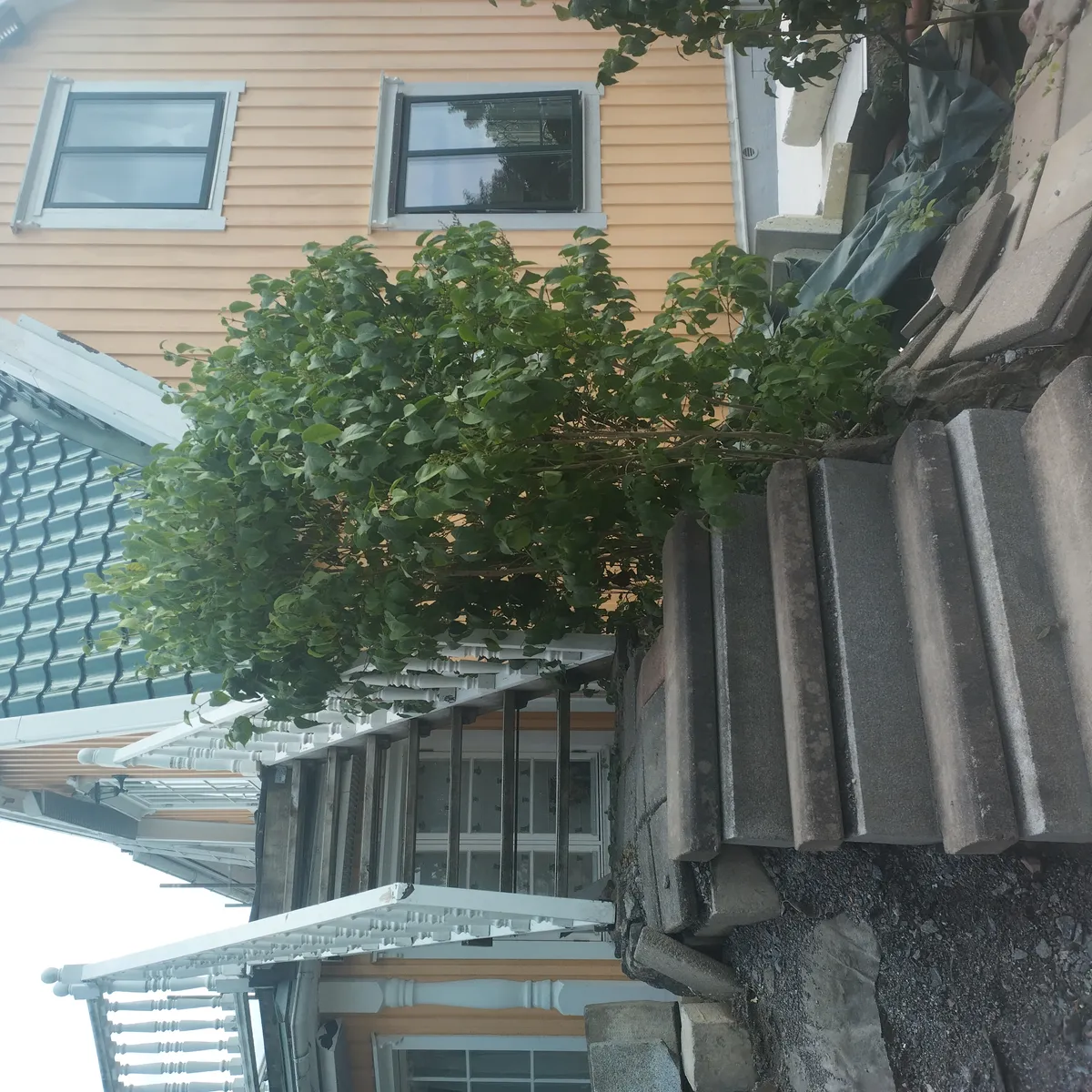 Hyreslägenhet på Spånga i spanga