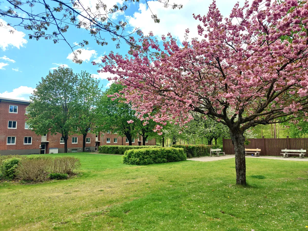 Hyreslägenhet på Örkelljunga i orkelljunga