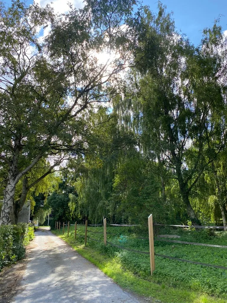 Hyreslägenhet på Lund i lund