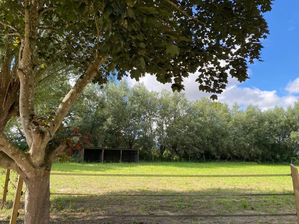 Hyreslägenhet på Lund i lund