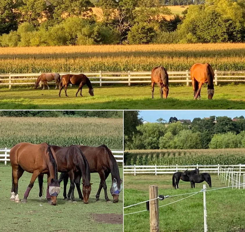 Hyreslägenhet på Lund i lund