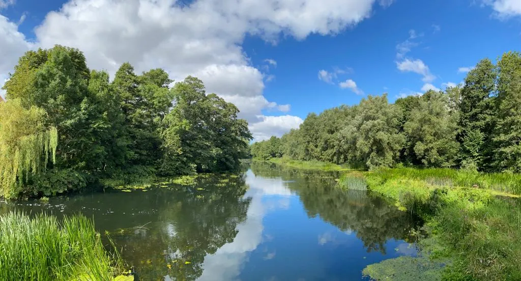 Hyreslägenhet på Lund i lund