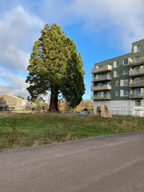 Hyreslägenhet på Ystad i ystad