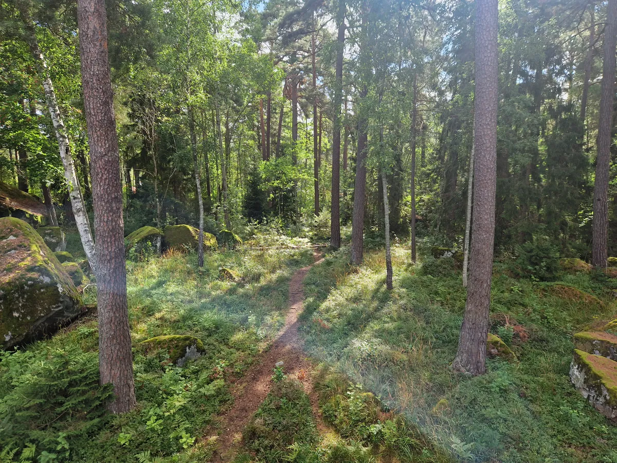 Hyreslägenhet på Uppsala i uppsala