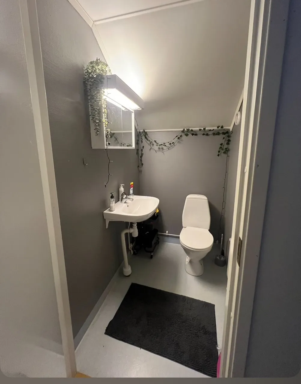 Hyreslägenhet på BORÅS i boras