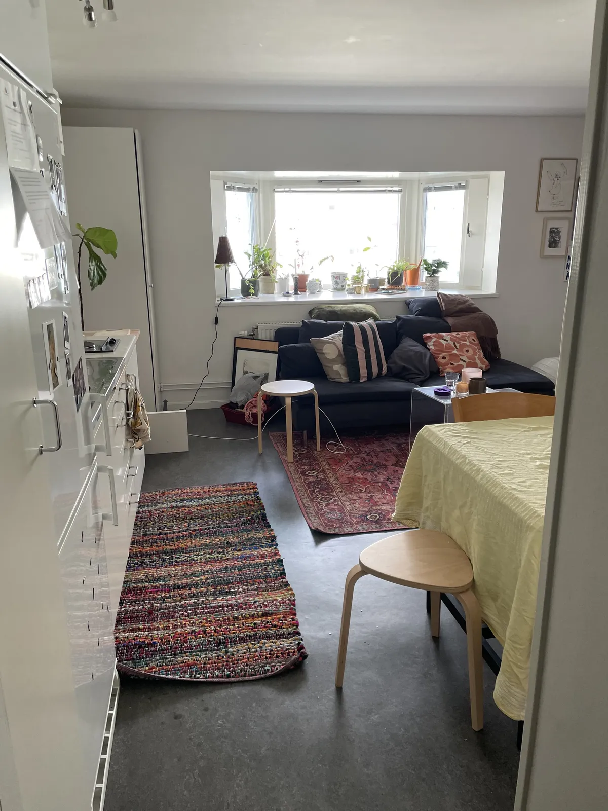 Hyreslägenhet på Solna i solna