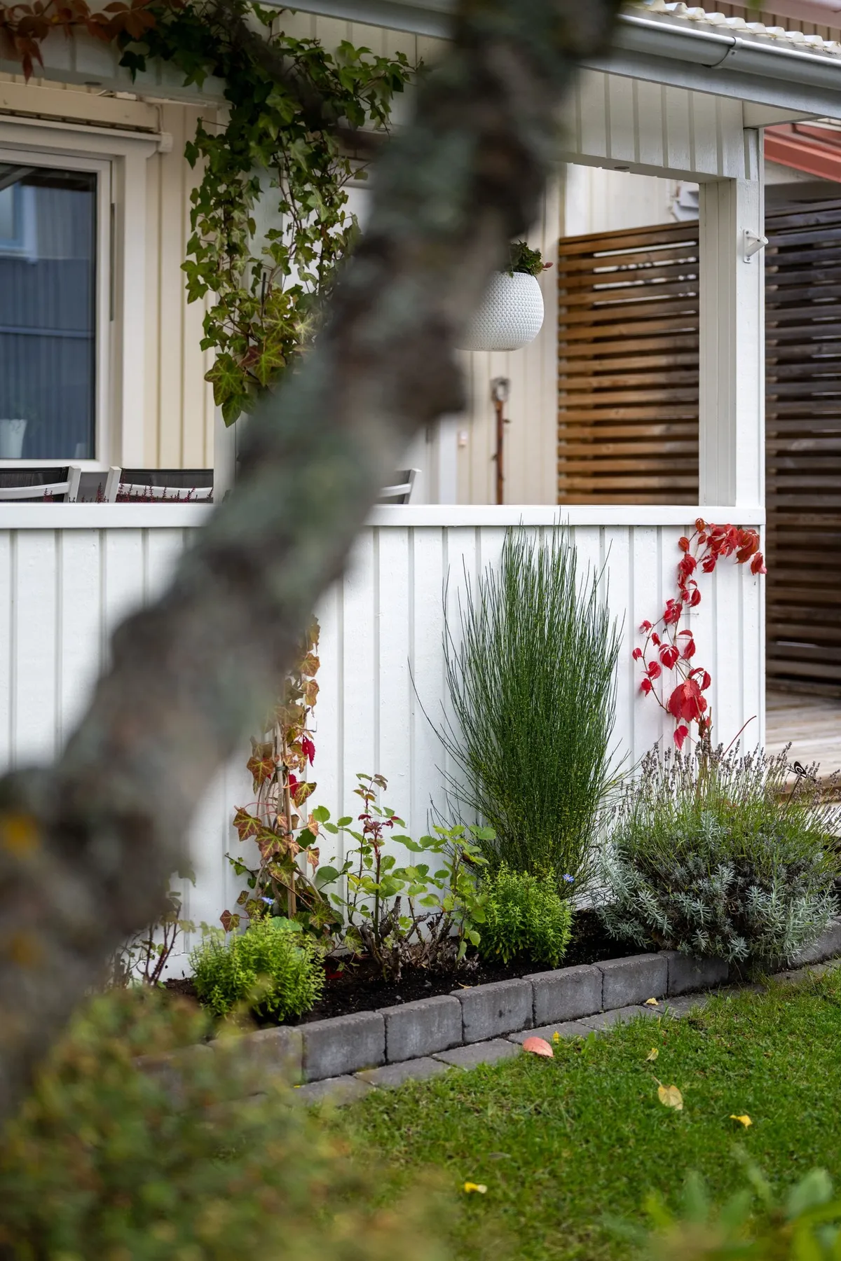 Hyreslägenhet på Linköping i linkoping