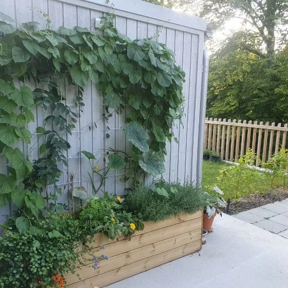 Hyresbostad på Malmö i malmo