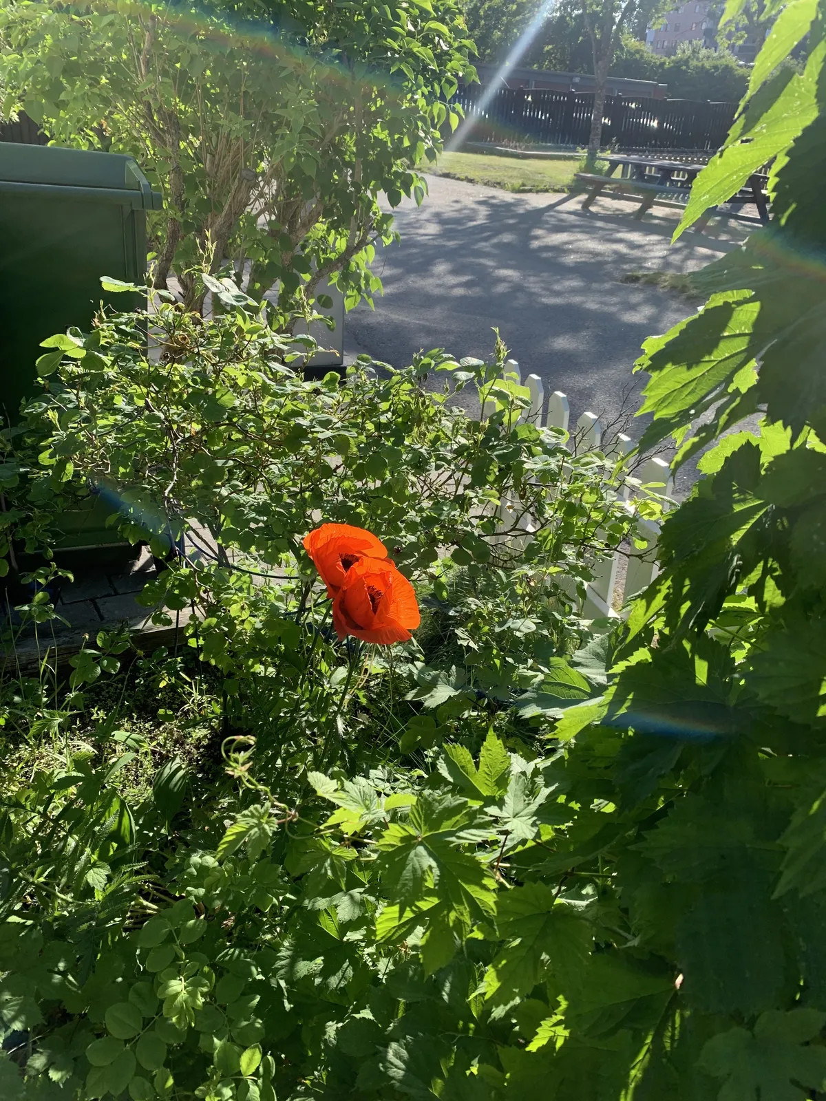 Hyresbostad på Handen i handen