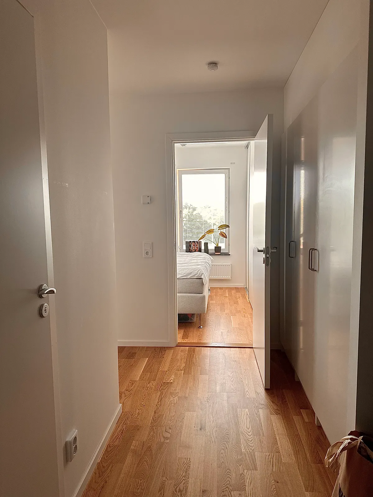 Hyreslägenhet på Lund i lund