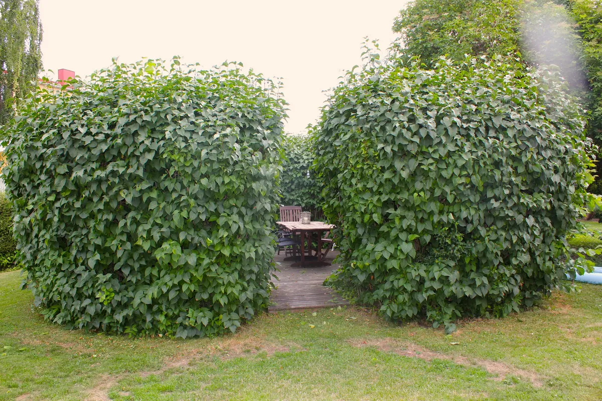 Hyreslägenhet på Nyköping i nykoping