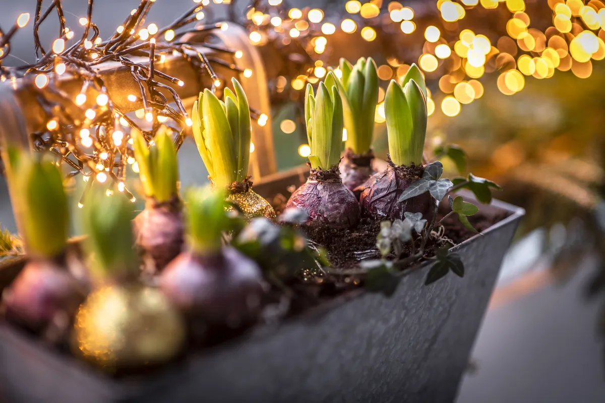 Hyreslägenhet på Göteborg i goteborg