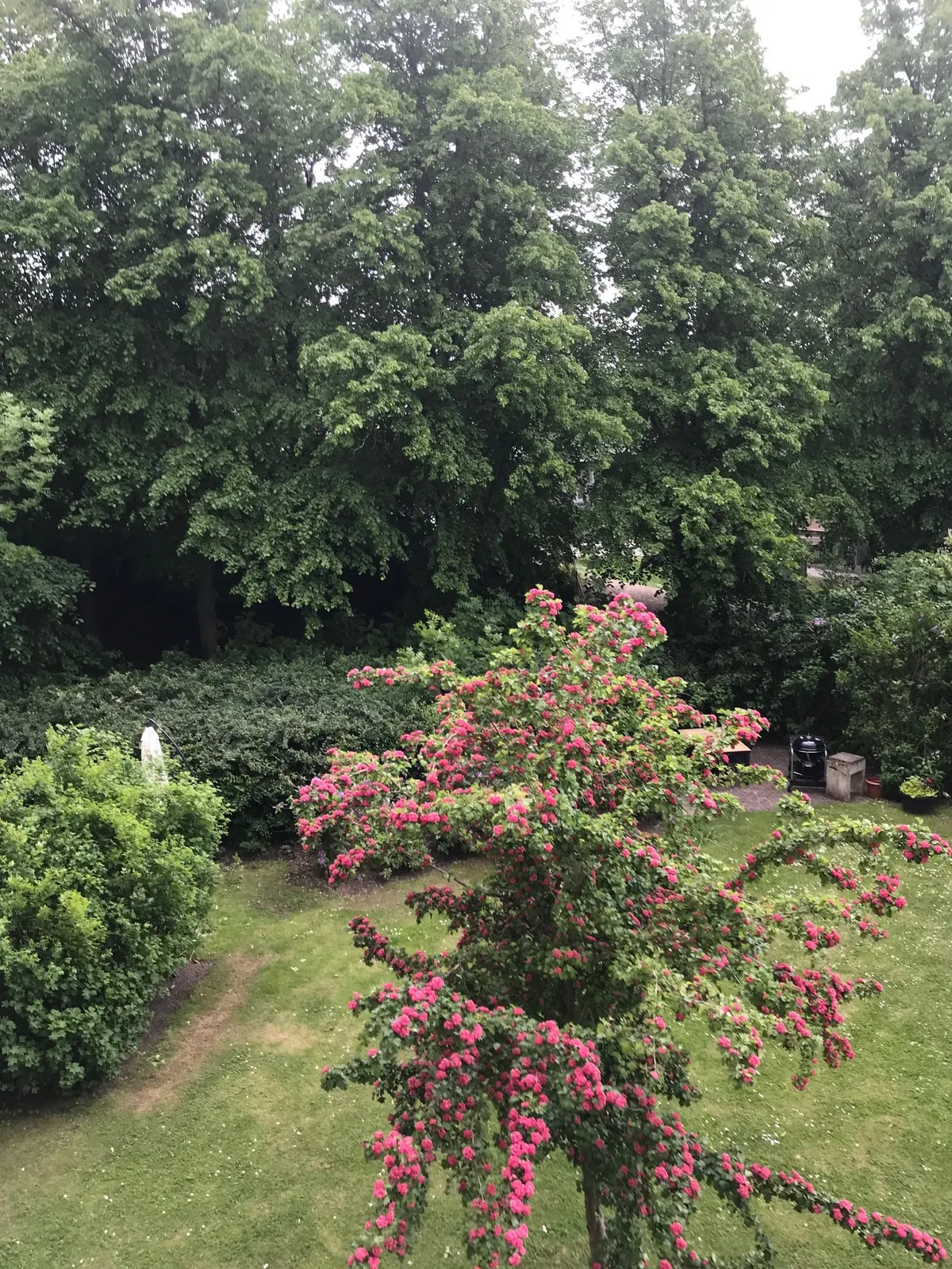 Hyreslägenhet på Lund i lund