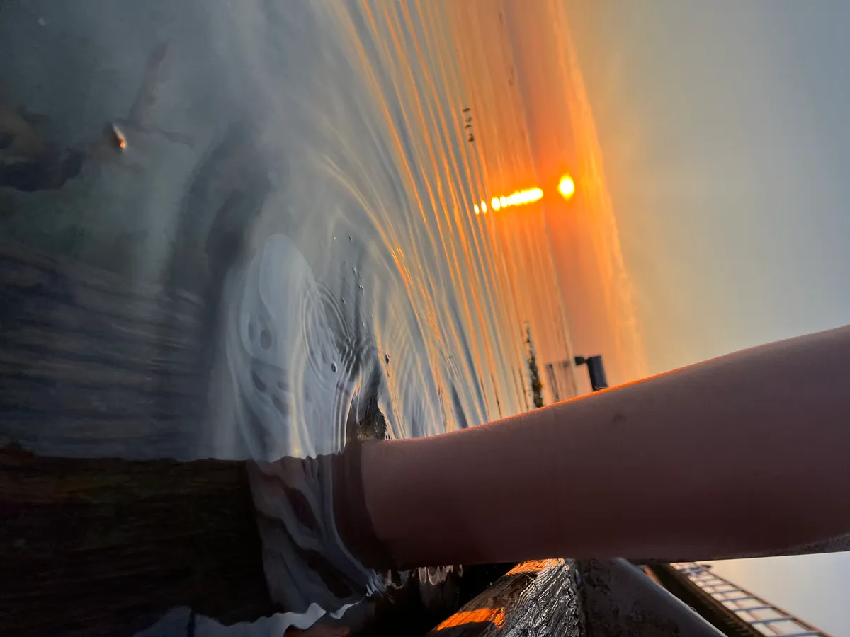 Hyreslägenhet på Malmö i malmo