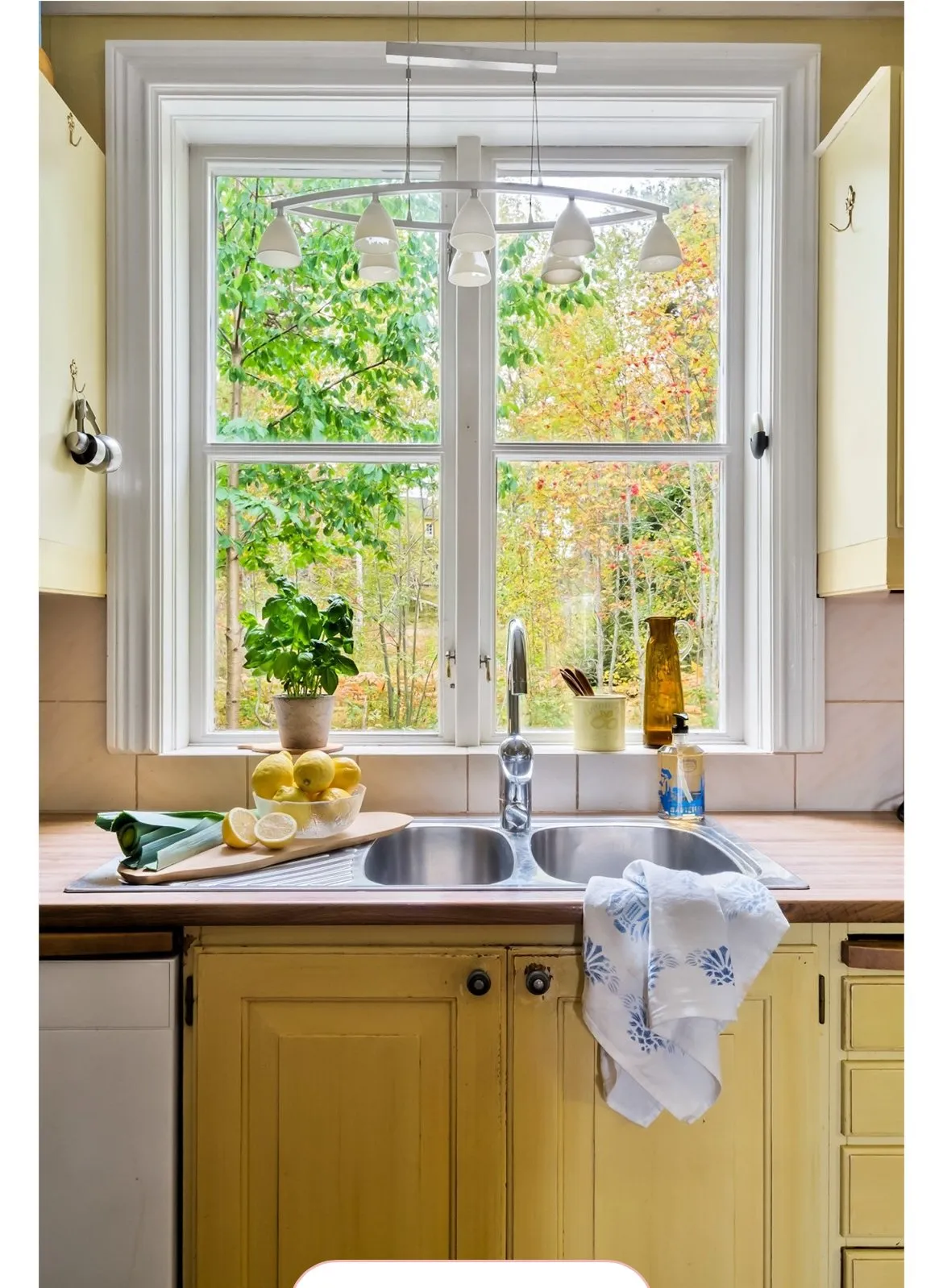 Hyresbostad på Skogås i skogas