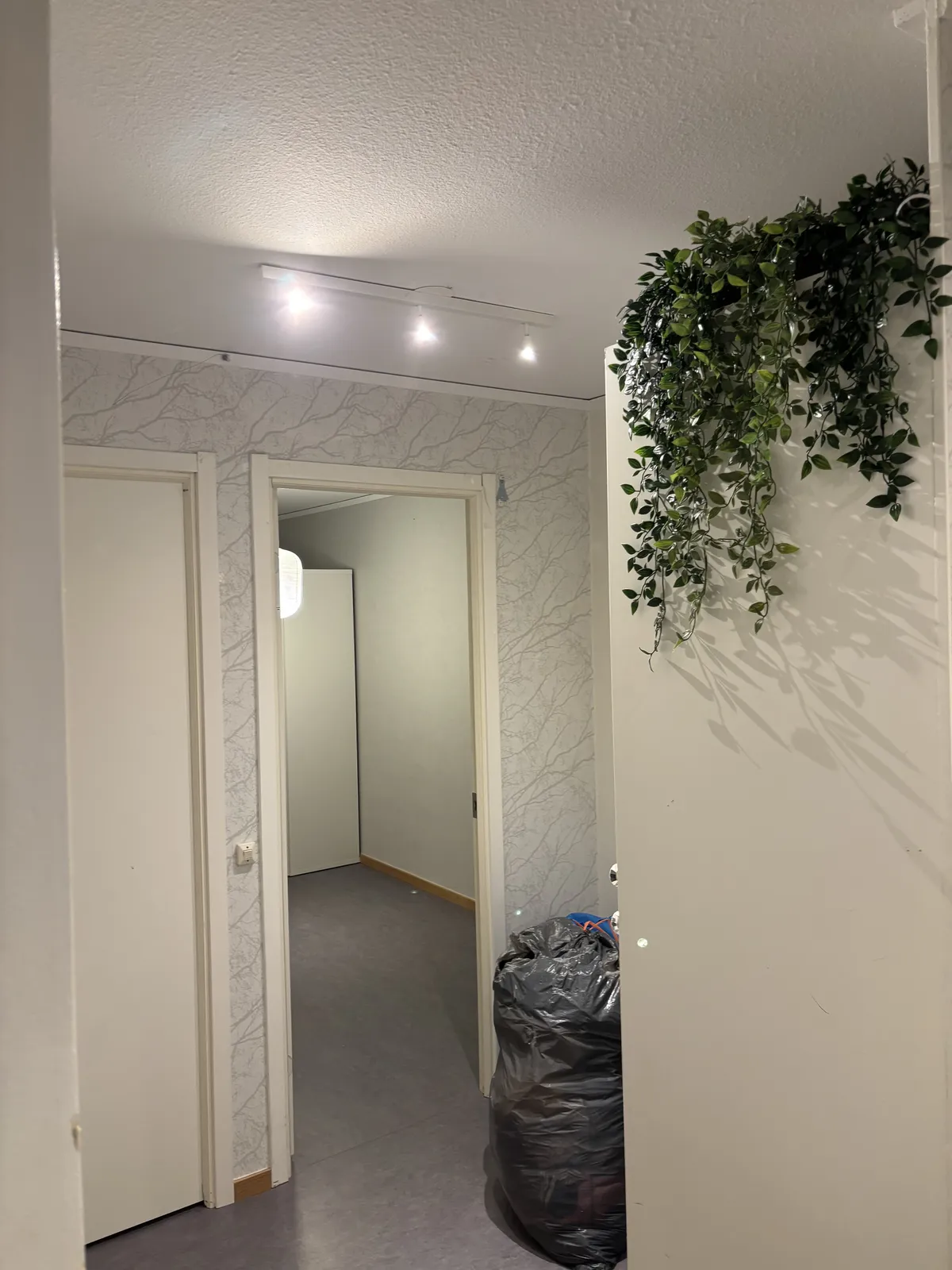 Hyreslägenhet på Umeå i umea