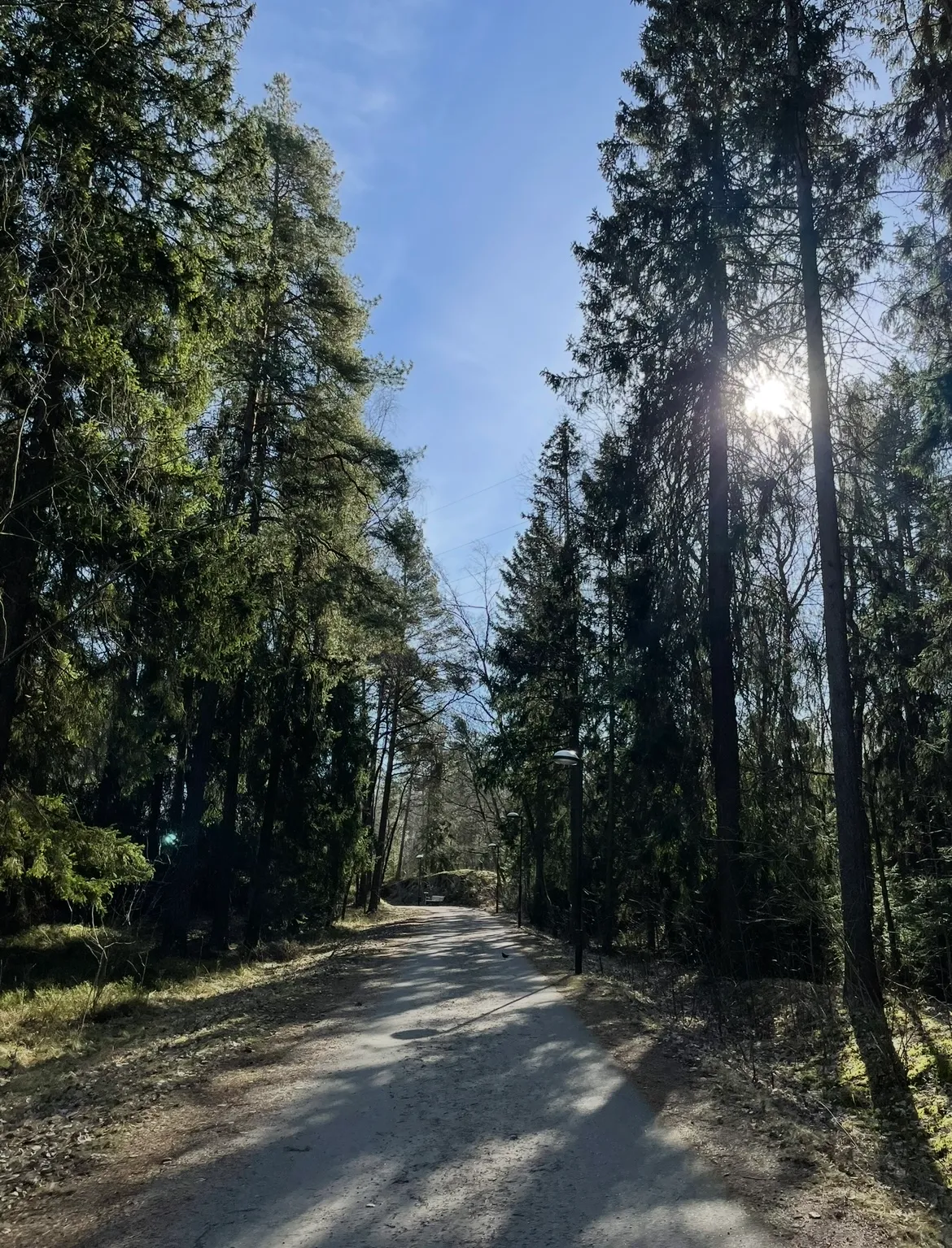Hyreslägenhet på Bandhagen i bandhagen