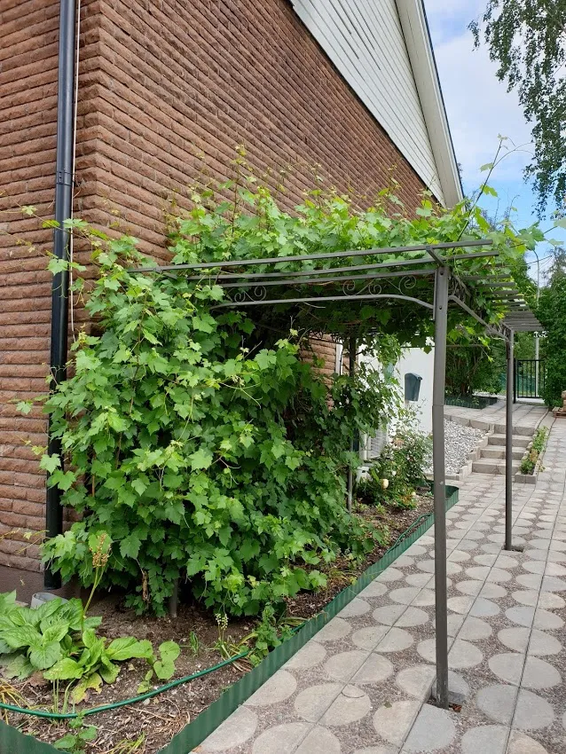 Hyreslägenhet på Hässelby i hasselby