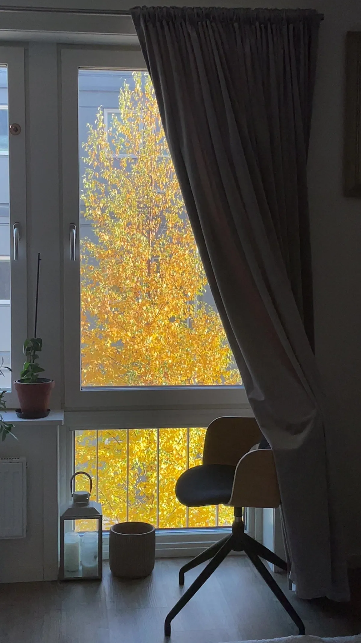 Hyreslägenhet på Luleå i lulea