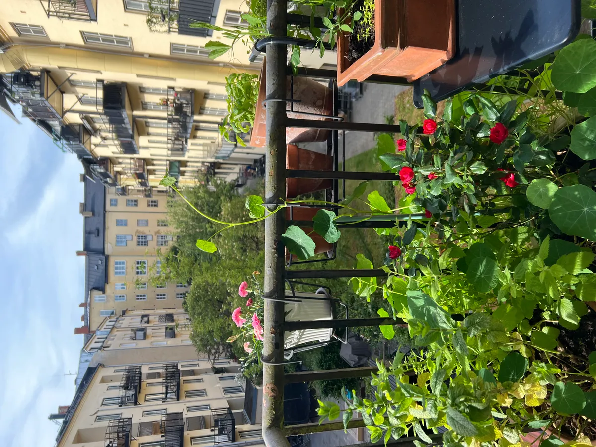 Hyreslägenhet på Malmö i malmo