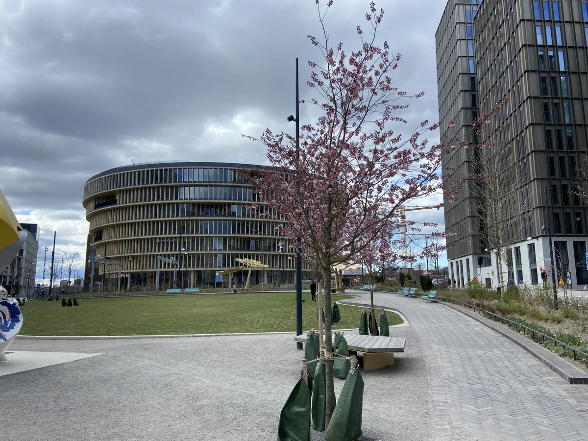 Hyreslägenhet på Stockholm i stockholm