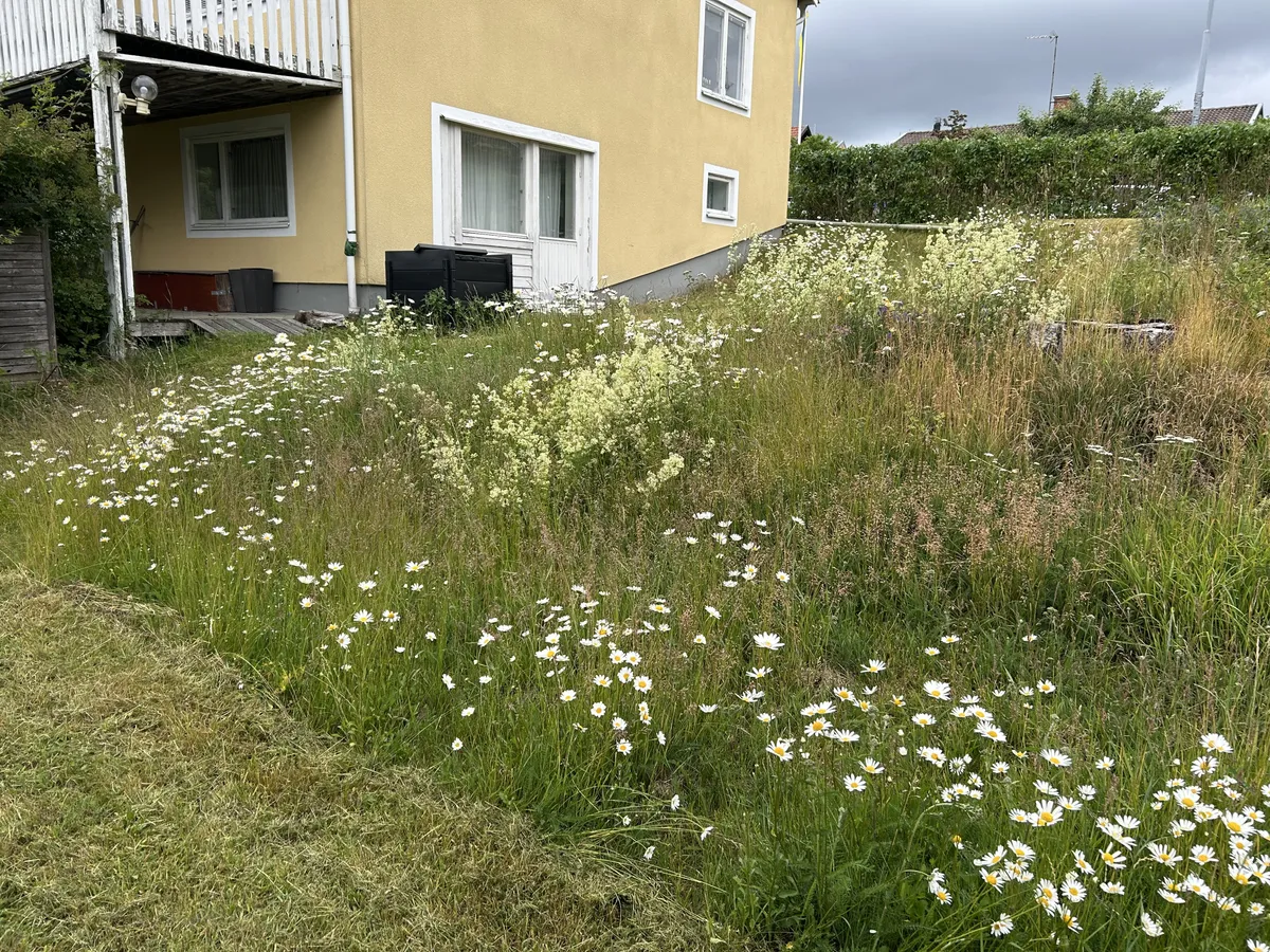 Hyresbostad på Norrtälje i norrtalje