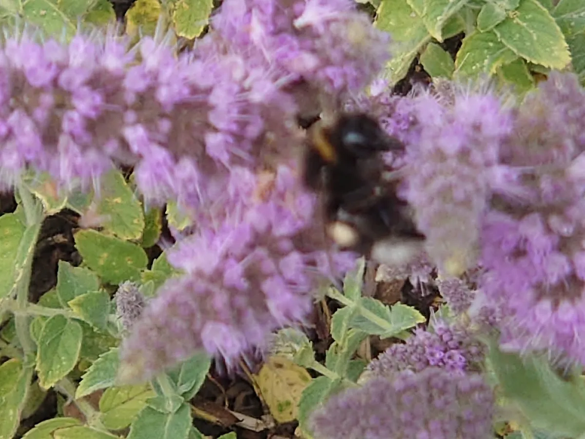 Hyresbostad på Åkersberga i akersberga