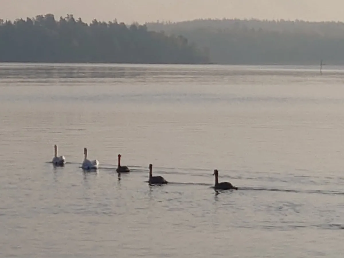 Hyresbostad på Åkersberga i akersberga