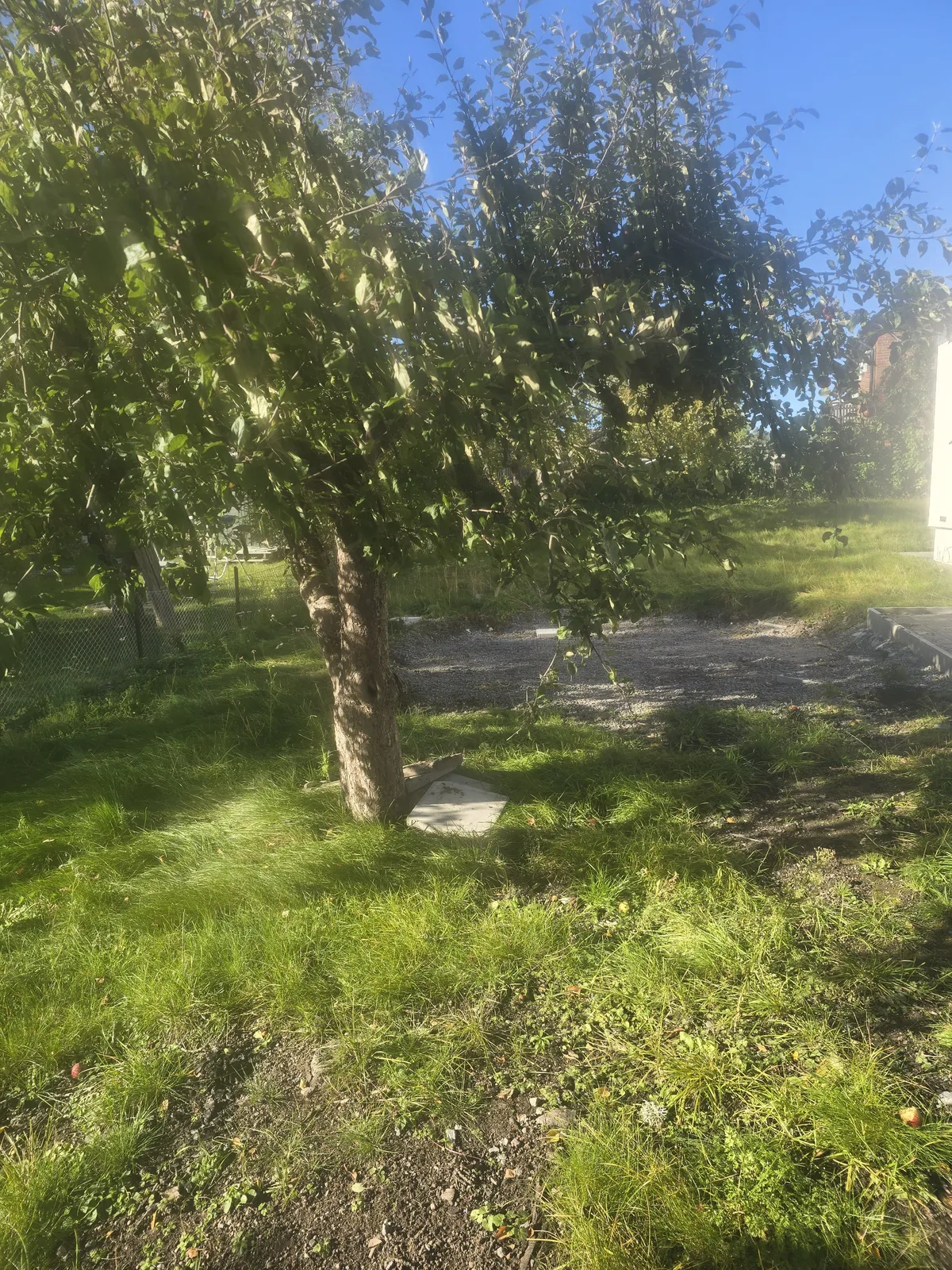 Hyreslägenhet på Hässelby i hasselby