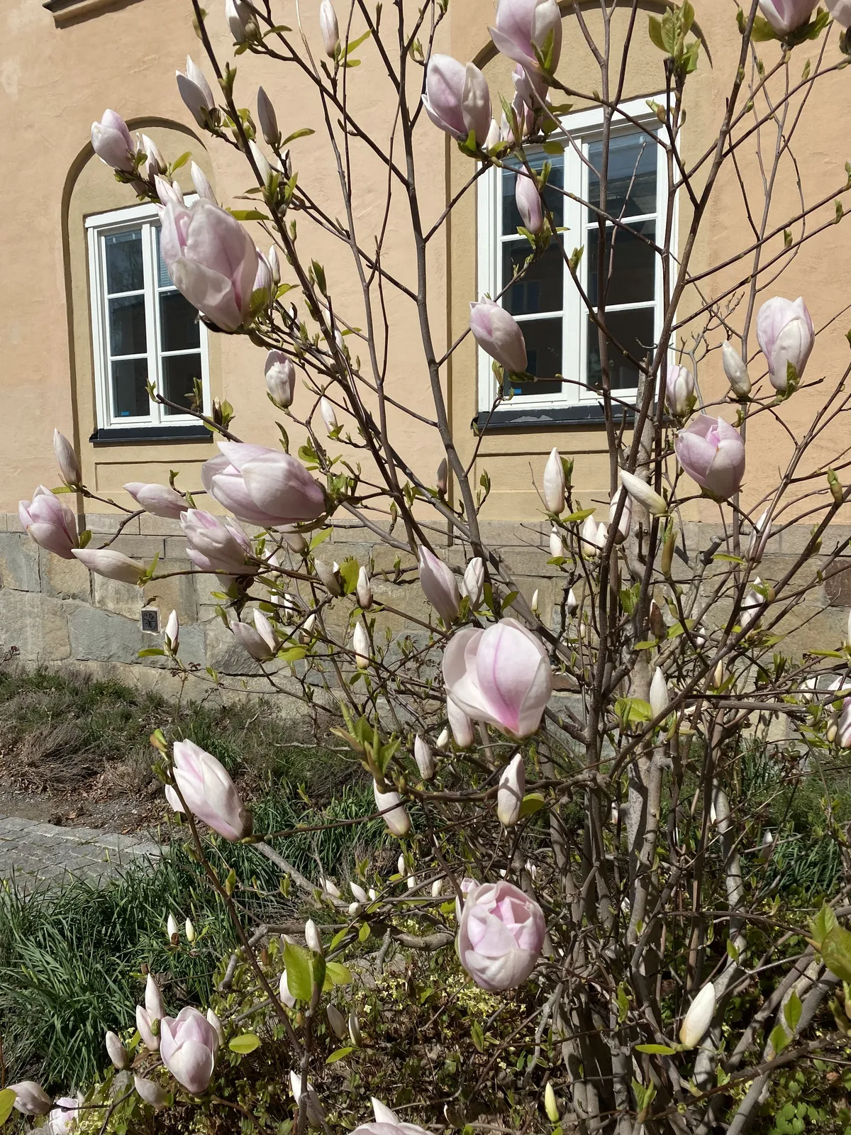 Hyreslägenhet på Stockholm i stockholm