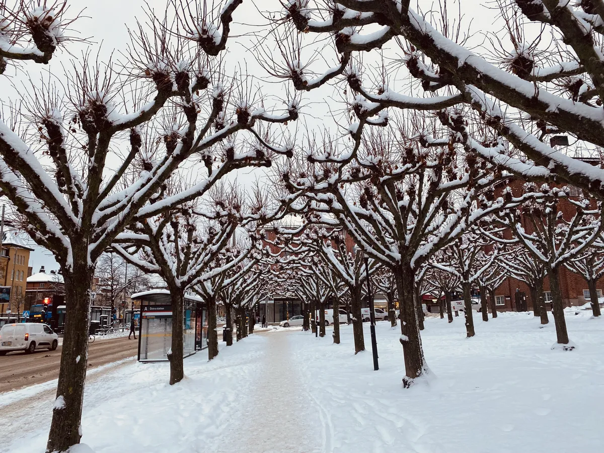 Hyreslägenhet på Stockholm i stockholm