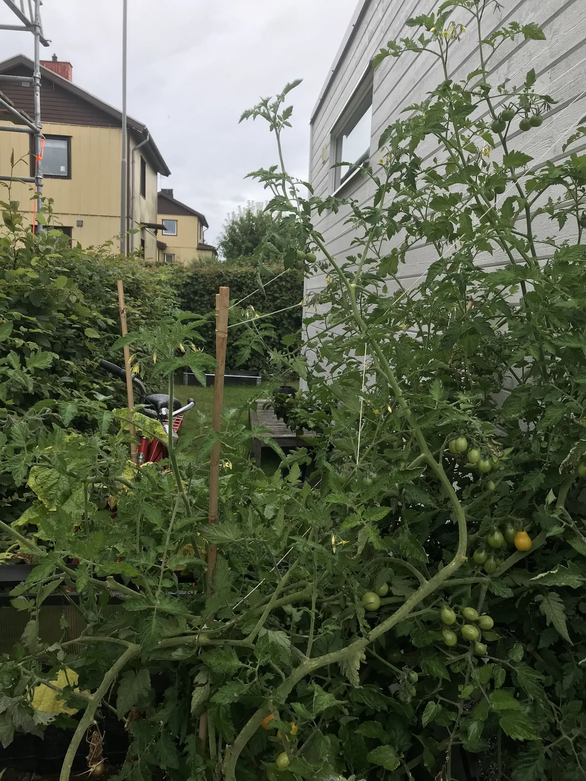 Hyresbostad på Göteborg i goteborg