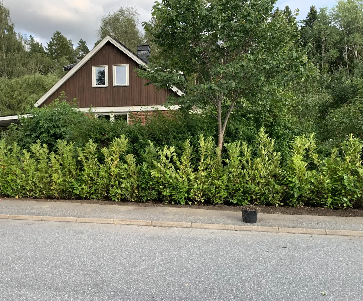 Hyresbostad på Sigtuna i sigtuna