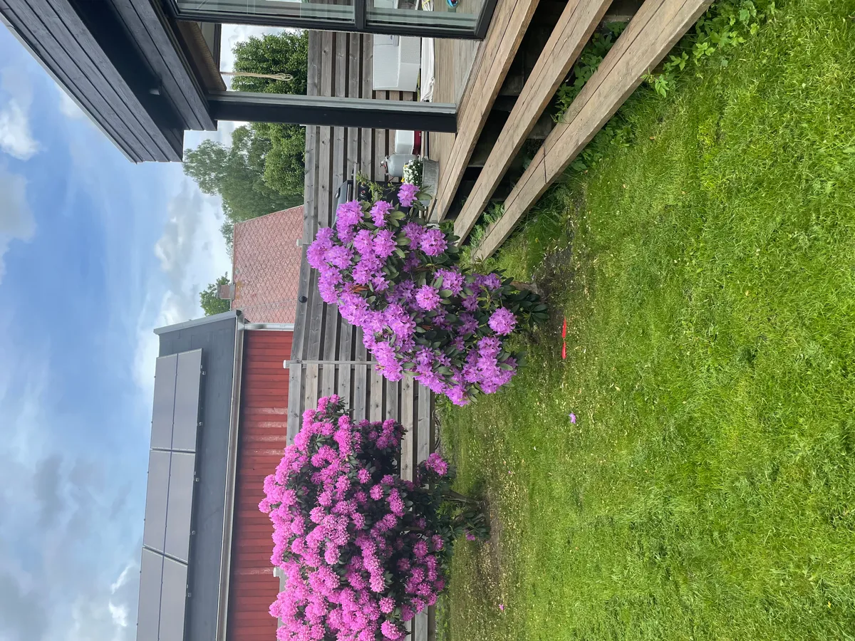 Hyresbostad på Höör i hoor