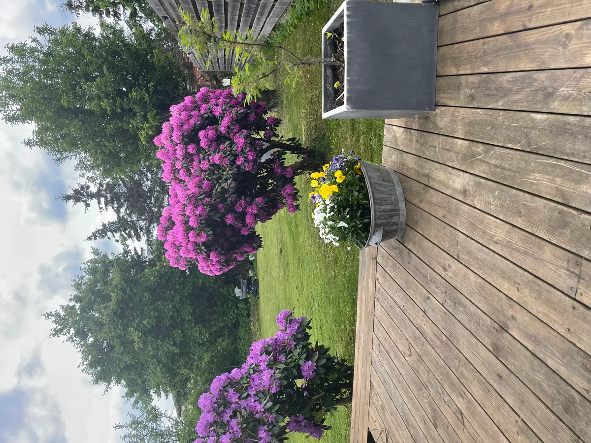 Hyresbostad på Höör i hoor