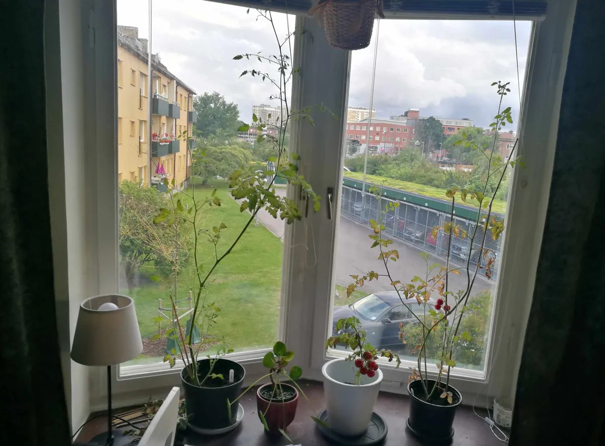 Hyreslägenhet på Malmö i malmo