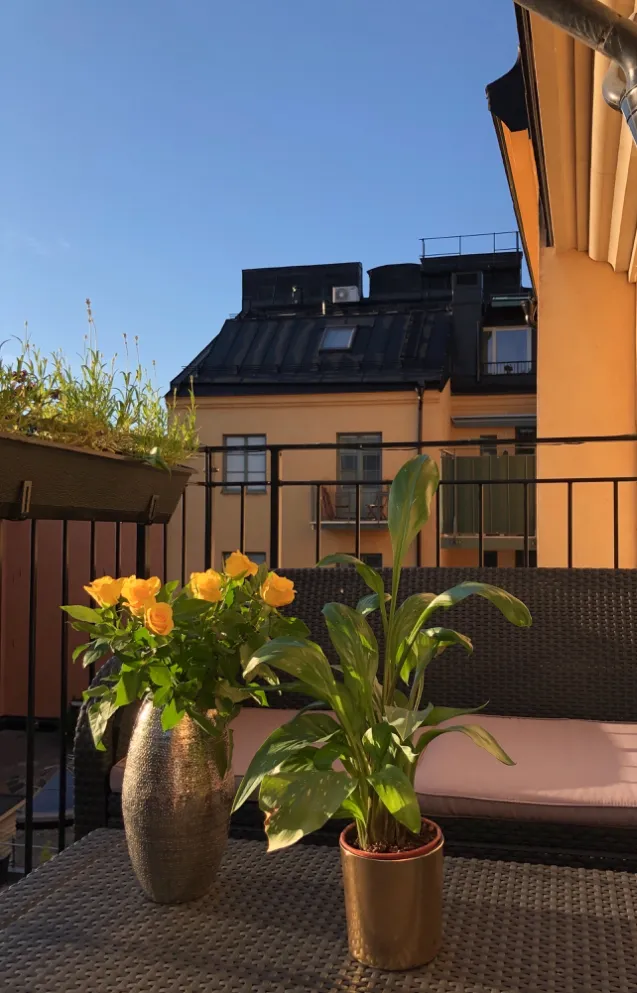 Hyreslägenhet på Stockholm i stockholm