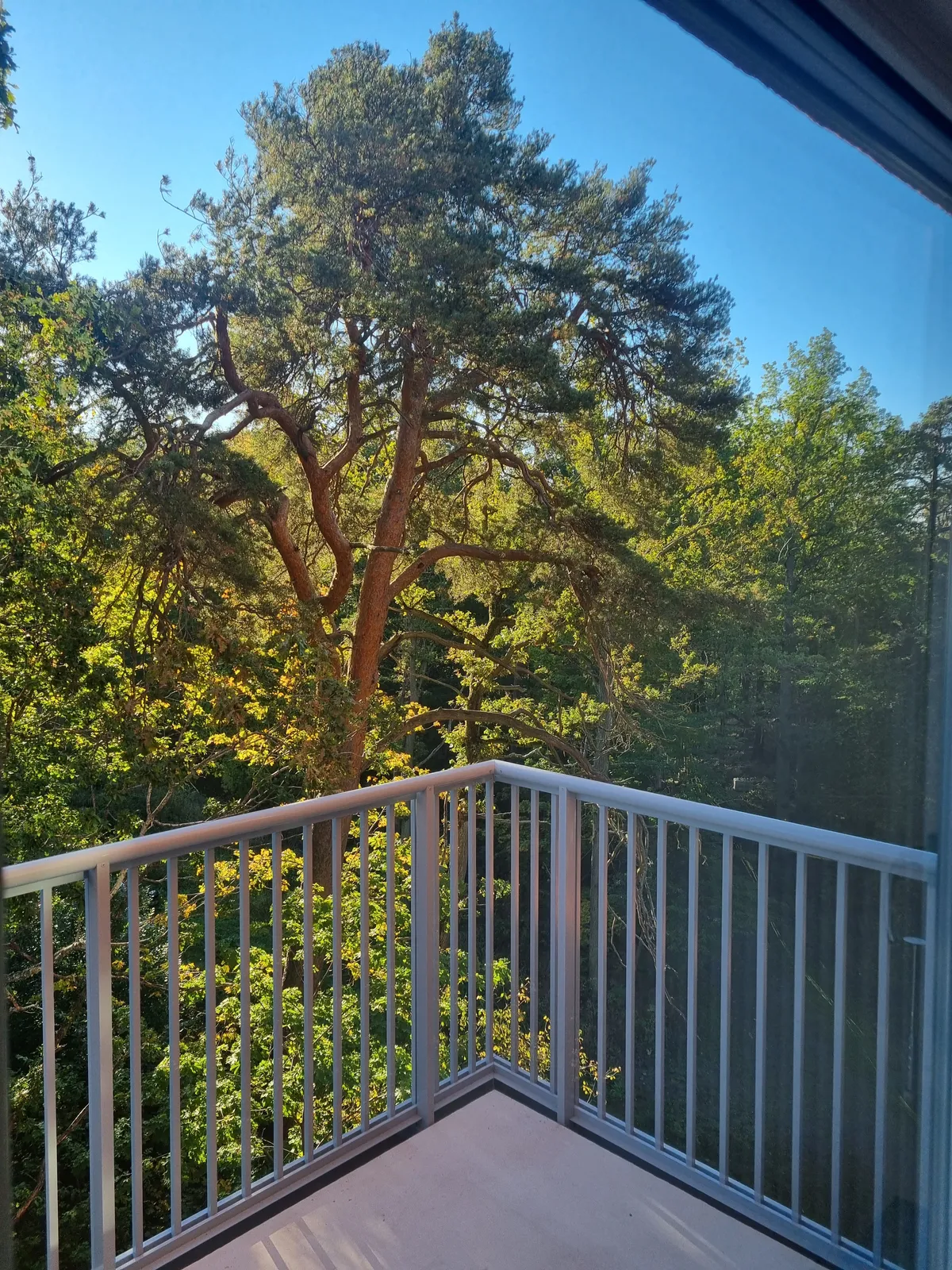 Hyreslägenhet på Solna i solna