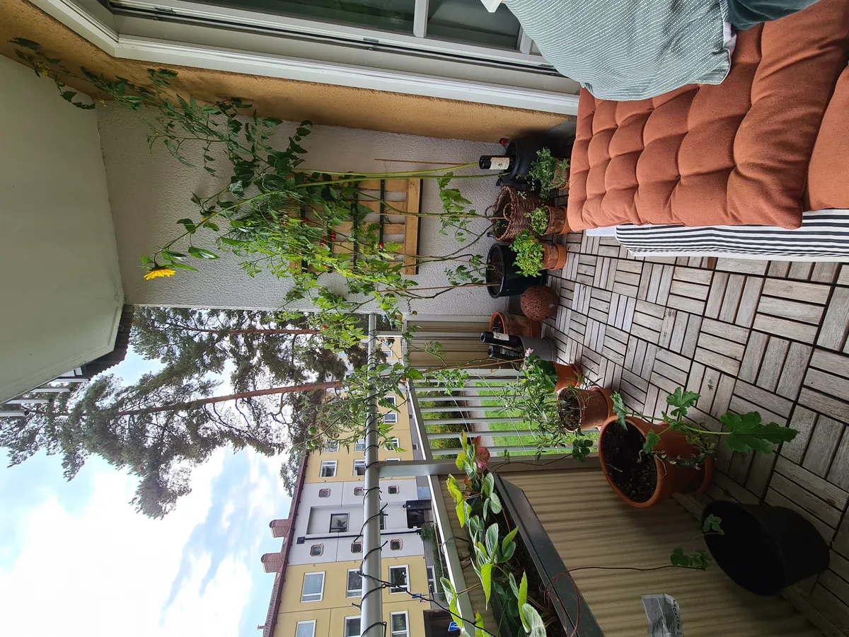 Hyreslägenhet på Hägersten i hagersten